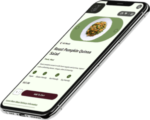 iphone from a perspective view showing Passel Foods Website